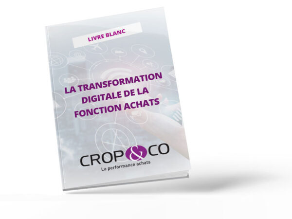 Livre blanc  « La transformation digitale de la fonction achats »