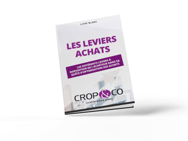 Livre blanc : Les leviers achats