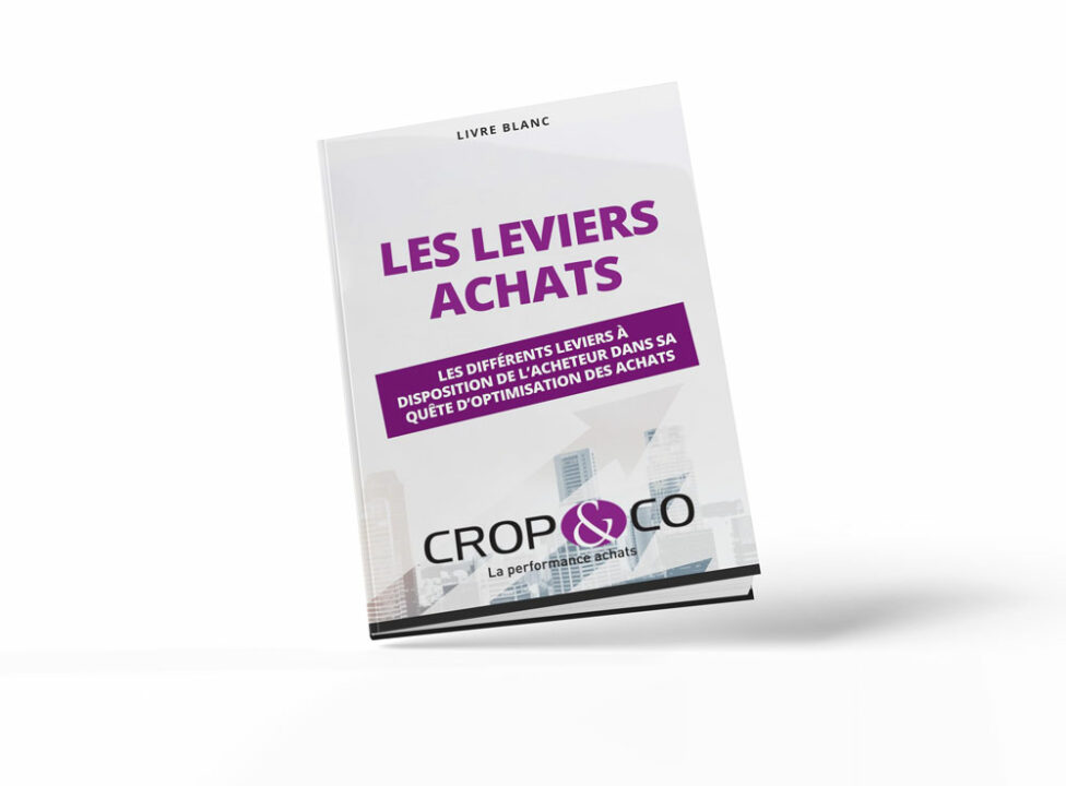 livre blanc les leviers achats cco